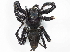  ( - CBG-A04561-H10)  @11 [ ] CreativeCommons - Attribution (2023) CBG Photography Group Centre for Biodiversity Genomics
