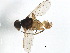  ( - BIOUG37143-B03)  @11 [ ] CreativeCommons - Attribution (2018) CBG Photography Group Centre for Biodiversity Genomics