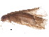  ( - BIOUG37143-E02)  @11 [ ] CreativeCommons - Attribution (2018) CBG Photography Group Centre for Biodiversity Genomics