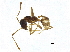  ( - BIOUG37188-E05)  @13 [ ] CreativeCommons - Attribution (2018) CBG Photography Group Centre for Biodiversity Genomics