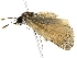  ( - BIOUG70312-C04)  @11 [ ] CreativeCommons - Attribution (2022) CBG Photography Group Centre for Biodiversity Genomics