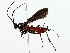  ( - BIOUG70313-G02)  @11 [ ] CreativeCommons - Attribution (2022) CBG Photography Group Centre for Biodiversity Genomics