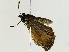  ( - BIOUG80115-F02)  @11 [ ] CreativeCommons - Attribution (2022) CBG Photography Group Centre for Biodiversity Genomics