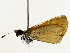  ( - BIOUG85517-E01)  @11 [ ] CreativeCommons - Attribution (2022) CBG Photography Group Centre for Biodiversity Genomics
