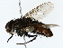  ( - BIOUG85518-E12)  @11 [ ] CreativeCommons - Attribution (2022) CBG Photography Group Centre for Biodiversity Genomics