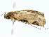  ( - BIOUG85519-F05)  @11 [ ] CreativeCommons - Attribution (2022) CBG Photography Group Centre for Biodiversity Genomics