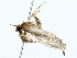  ( - BIOUG85519-F06)  @12 [ ] CreativeCommons - Attribution (2022) CBG Photography Group Centre for Biodiversity Genomics