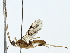  ( - BIOUG85522-A09)  @11 [ ] CreativeCommons - Attribution (2022) CBG Photography Group Centre for Biodiversity Genomics