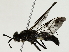  ( - BIOUG85522-H03)  @11 [ ] CreativeCommons - Attribution (2022) CBG Photography Group Centre for Biodiversity Genomics