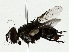  ( - BIOUG85522-H05)  @11 [ ] CreativeCommons - Attribution (2022) CBG Photography Group Centre for Biodiversity Genomics