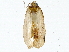  ( - BIOUG85523-F08)  @11 [ ] CreativeCommons - Attribution (2022) CBG Photography Group Centre for Biodiversity Genomics