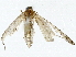  ( - BIOUG85523-F11)  @12 [ ] CreativeCommons - Attribution (2022) CBG Photography Group Centre for Biodiversity Genomics