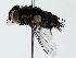  ( - BIOUG85524-C12)  @11 [ ] CreativeCommons - Attribution (2022) CBG Photography Group Centre for Biodiversity Genomics