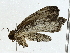 ( - BIOUG89935-F03)  @13 [ ] CreativeCommons - Attribution (2022) CBG Photography Group Centre for Biodiversity Genomics