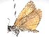  ( - BIOUG70314-A08)  @11 [ ] CreativeCommons - Attribution (2022) CBG Photography Group Centre for Biodiversity Genomics