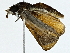  ( - BIOUG70314-F03)  @11 [ ] CreativeCommons - Attribution (2022) CBG Photography Group Centre for Biodiversity Genomics