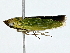  ( - BIOUG70314-G03)  @11 [ ] CreativeCommons - Attribution (2022) CBG Photography Group Centre for Biodiversity Genomics