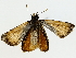  ( - BIOUG85525-B01)  @11 [ ] CreativeCommons - Attribution (2022) CBG Photography Group Centre for Biodiversity Genomics