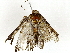  ( - BIOUG91371-H04)  @11 [ ] CreativeCommons - Attribution (2022) CBG Photography Group Centre for Biodiversity Genomics