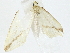  ( - BIOUG91379-F06)  @11 [ ] CreativeCommons - Attribution (2022) CBG Photography Group Centre for Biodiversity Genomics
