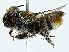  ( - BIOUG91384-E05)  @11 [ ] CreativeCommons - Attribution (2022) CBG Photography Group Centre for Biodiversity Genomics