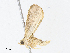  ( - CBG-A13254-D12)  @11 [ ] CreativeCommons - Attribution Share - Alike (2023) CBG Photography Group Centre for Biodiversity Genomics