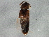  ( - BIOUG03051-C11)  @13 [ ] CreativeCommons - Attribution (2013) CBG Photography Group Centre for Biodiversity Genomics