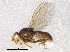  ( - BIOUG03238-C04)  @13 [ ] CreativeCommons - Attribution (2014) CBG Photography Group Centre for Biodiversity Genomics