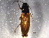  ( - BIOUG05876-D09)  @13 [ ] CreativeCommons - Attribution (2014) CBG Photography Group Centre for Biodiversity Genomics