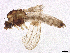  ( - BIOUG27954-D10)  @11 [ ] CreativeCommons - Attribution Share-Alike (2024) CBG Photography Group Centre for Biodiversity Genomics