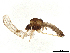  ( - BIOUG38430-C02)  @11 [ ] CreativeCommons - Attribution Share-Alike (2024) CBG Photography Group Centre for Biodiversity Genomics