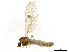  ( - BIOUG39379-D11)  @11 [ ] CreativeCommons - Attribution Share-Alike (2024) CBG Photography Group Centre for Biodiversity Genomics