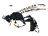  ( - BIOUG39283-H02)  @13 [ ] CreativeCommons - Attribution (2018) CBG Photography Group Centre for Biodiversity Genomics