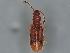 ( - BIOUG39436-H04)  @11 [ ] CreativeCommons - Attribution (2022) CBG Photography Group Centre for Biodiversity Genomics