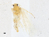  ( - CBG-A16687-C05)  @11 [ ] CreativeCommons - Attribution Share-Alike (2023) CBG Photography Group Centre for Biodiversity Genomics
