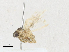  ( - CBG-A16687-E05)  @11 [ ] CreativeCommons - Attribution Share-Alike (2023) CBG Photography Group Centre for Biodiversity Genomics