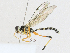  ( - CBG-A16701-D01)  @11 [ ] CreativeCommons - Attribution Share - Alike (2023) CBG Photography Group Centre for Biodiversity Genomics