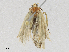  ( - CBG-A16701-F09)  @11 [ ] CreativeCommons - Attribution Share - Alike (2023) CBG Photography Group Centre for Biodiversity Genomics