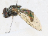 ( - CBG-A16701-H06)  @11 [ ] CreativeCommons - Attribution Share - Alike (2023) CBG Photography Group Centre for Biodiversity Genomics