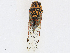  ( - CBG-A16702-A02)  @11 [ ] CreativeCommons - Attribution Share - Alike (2023) CBG Photography Group Centre for Biodiversity Genomics