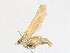  ( - CBG-A16702-E05)  @11 [ ] CreativeCommons - Attribution Share - Alike (2023) CBG Photography Group Centre for Biodiversity Genomics