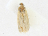  ( - CBG-A16702-E07)  @11 [ ] CreativeCommons - Attribution Share - Alike (2023) CBG Photography Group Centre for Biodiversity Genomics
