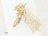  ( - CBG-A16702-F12)  @11 [ ] CreativeCommons - Attribution Share - Alike (2023) CBG Photography Group Centre for Biodiversity Genomics