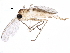  ( - BIOUG15594-F07)  @14 [ ] CreativeCommons - Attribution (2015) CBG Photography Group Centre for Biodiversity Genomics