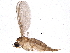  ( - BIOUG15648-E10)  @14 [ ] CreativeCommons - Attribution (2015) CBG Photography Group Centre for Biodiversity Genomics