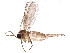  ( - BIOUG15651-H06)  @13 [ ] CreativeCommons - Attribution (2015) CBG Photography Group Centre for Biodiversity Genomics