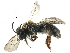  ( - BIOUG15715-G11)  @14 [ ] CreativeCommons - Attribution (2015) CBG Photography Group Centre for Biodiversity Genomics