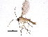  ( - BIOUG15765-B03)  @14 [ ] CreativeCommons - Attribution (2015) CBG Photography Group Centre for Biodiversity Genomics