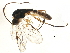  ( - BIOUG15768-E11)  @13 [ ] CreativeCommons - Attribution (2015) CBG Photography Group Centre for Biodiversity Genomics