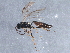  ( - BIOUG15769-B07)  @13 [ ] CreativeCommons - Attribution (2015) CBG Photography Group Centre for Biodiversity Genomics